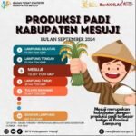 Padi Mesuji Untuk SiapaPadi